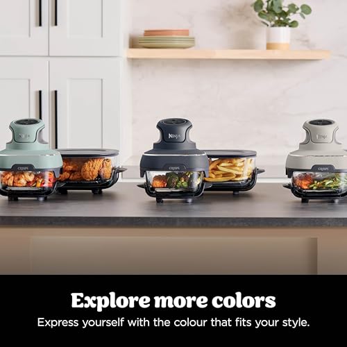 Ninja CRISPi Portable Air Fryer, 3.8L, 4-in-1: Air Fry, Roast, Keep Warm, Recrisp